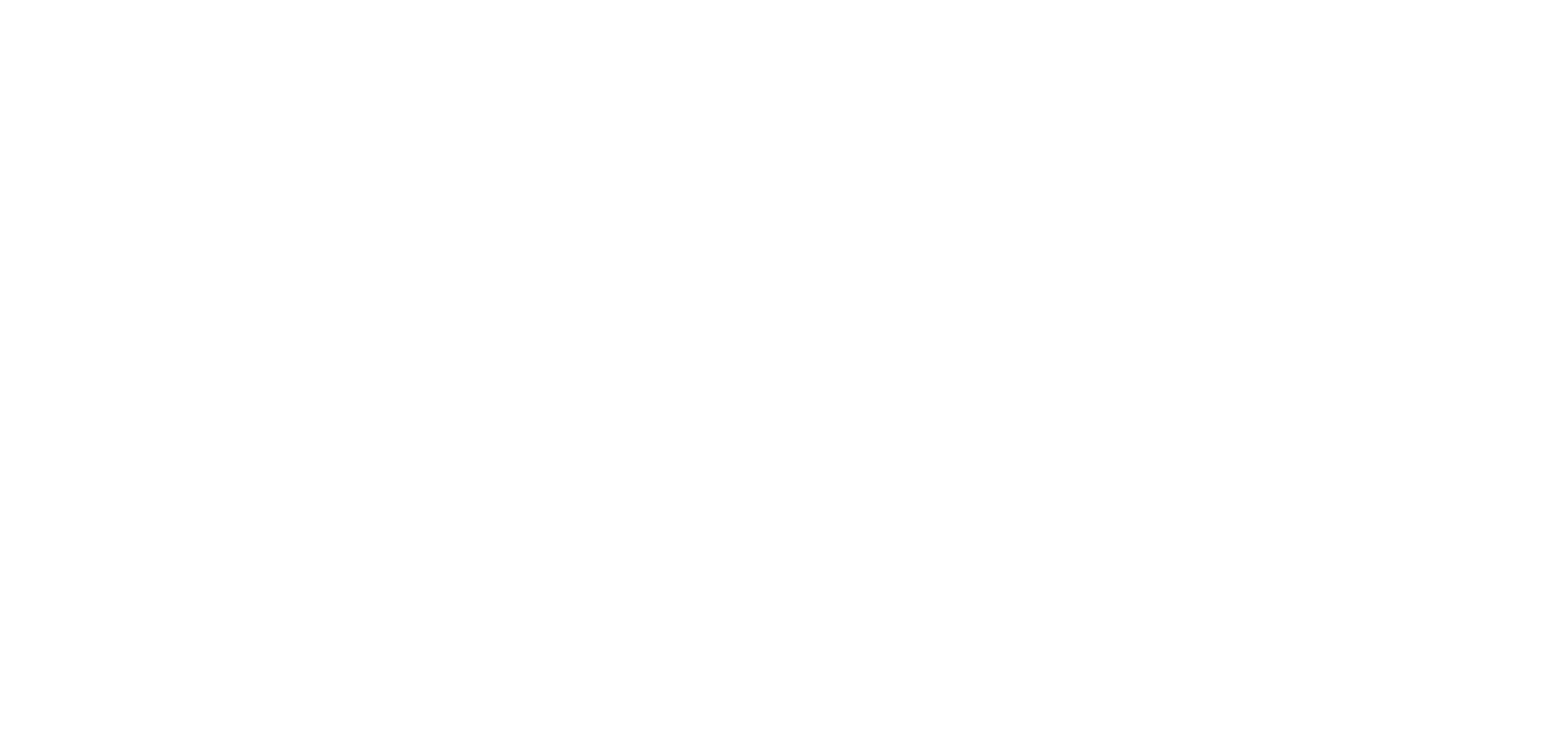 ブルーイのスペシャルステージ！