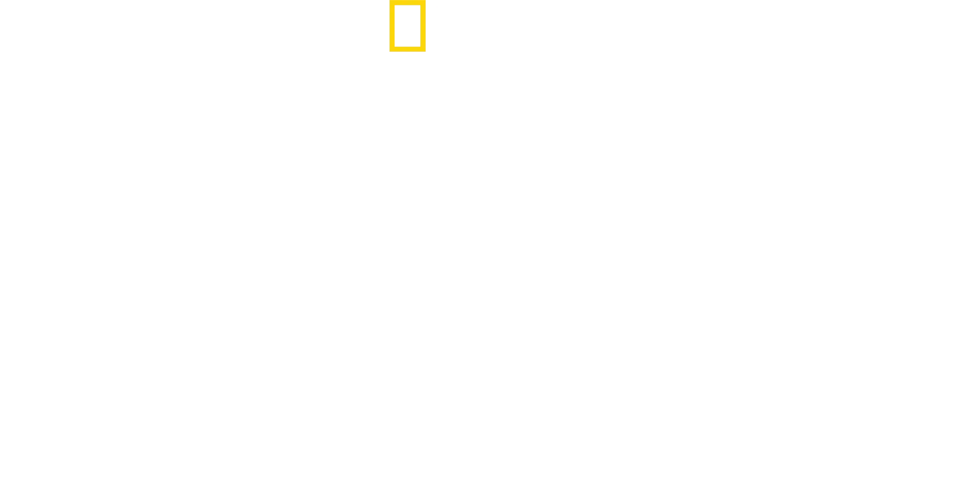 Superbeast