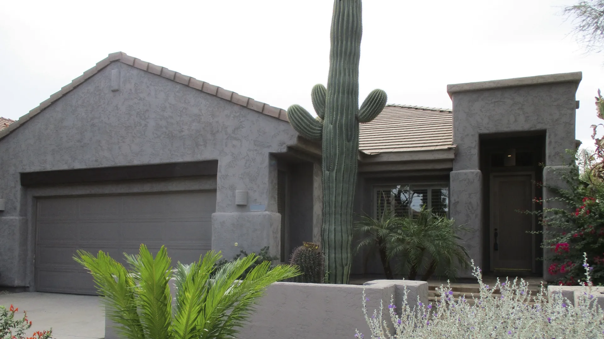 thumbnail - S179:E10 Finding Wow Factor in Phoenix
