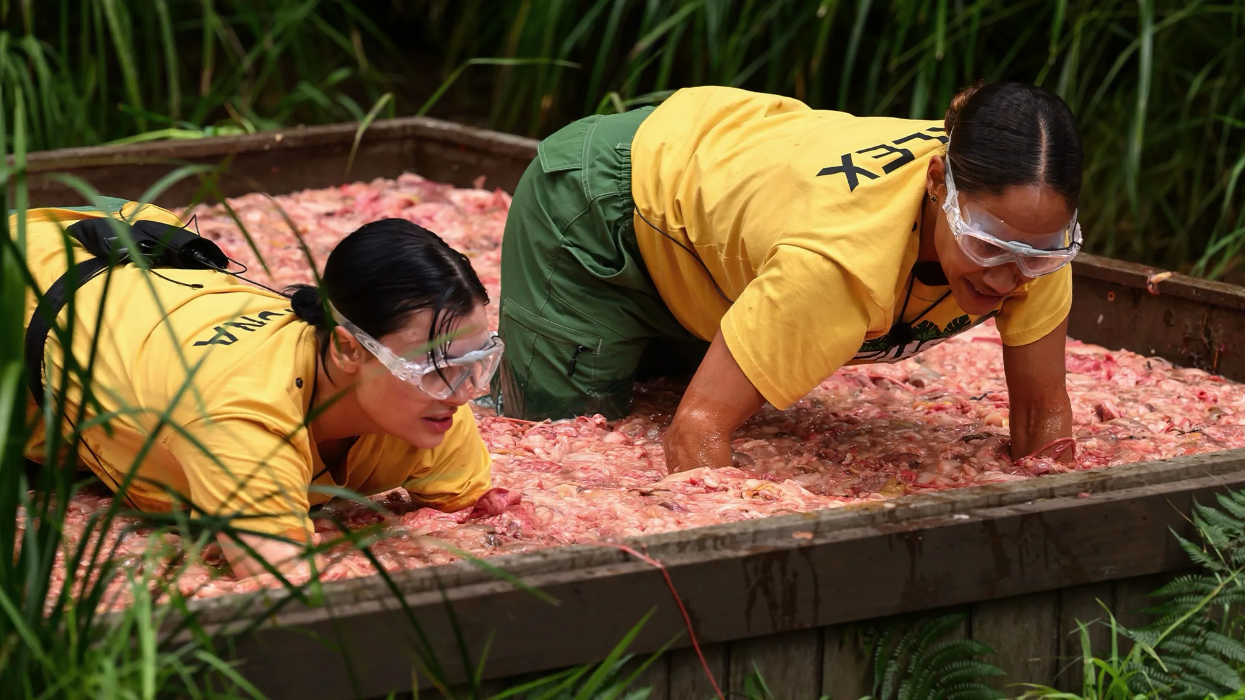 thumbnail - S25:E7 Episode 7