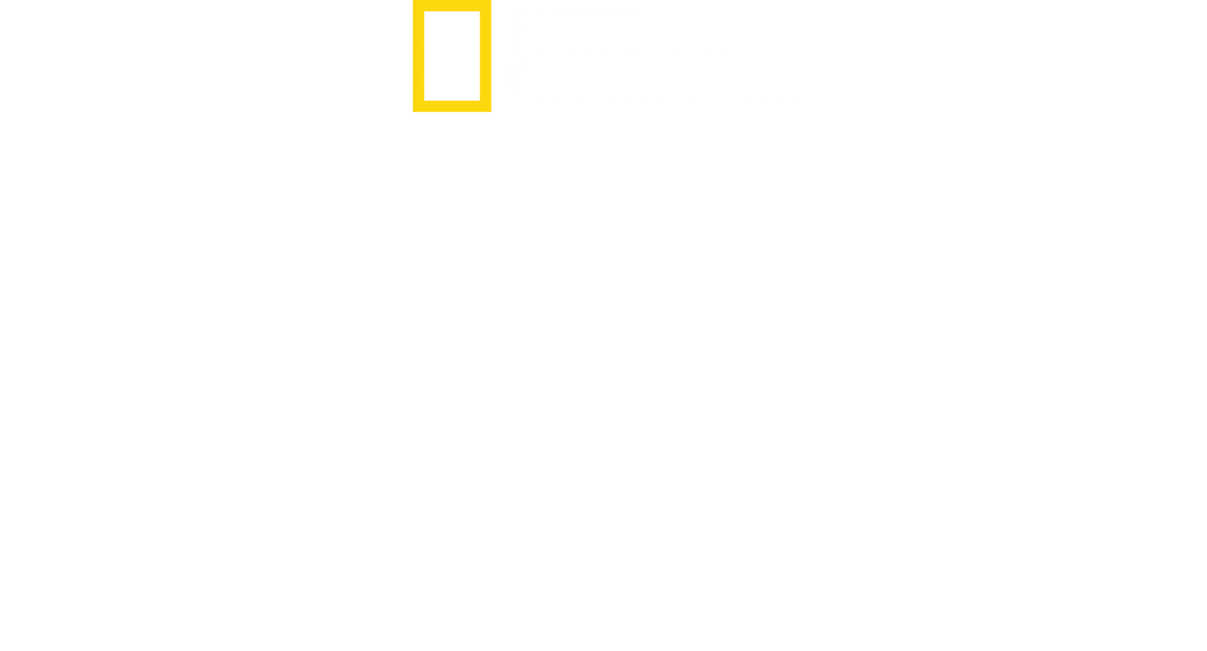 Tiburones bajo cero