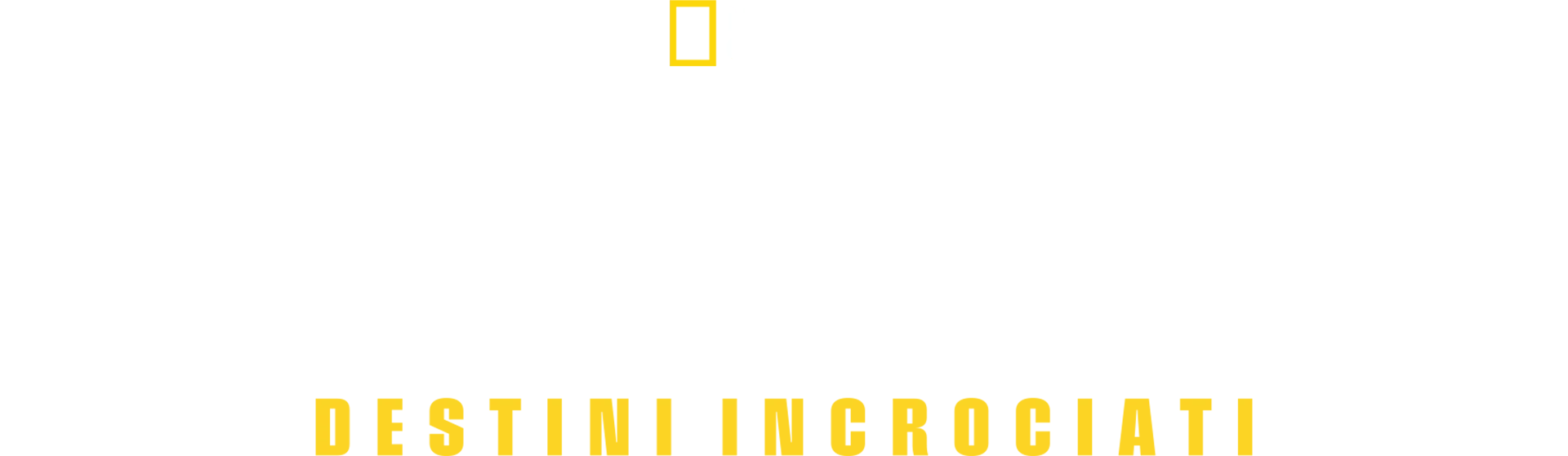 11 settembre: destini incrociati