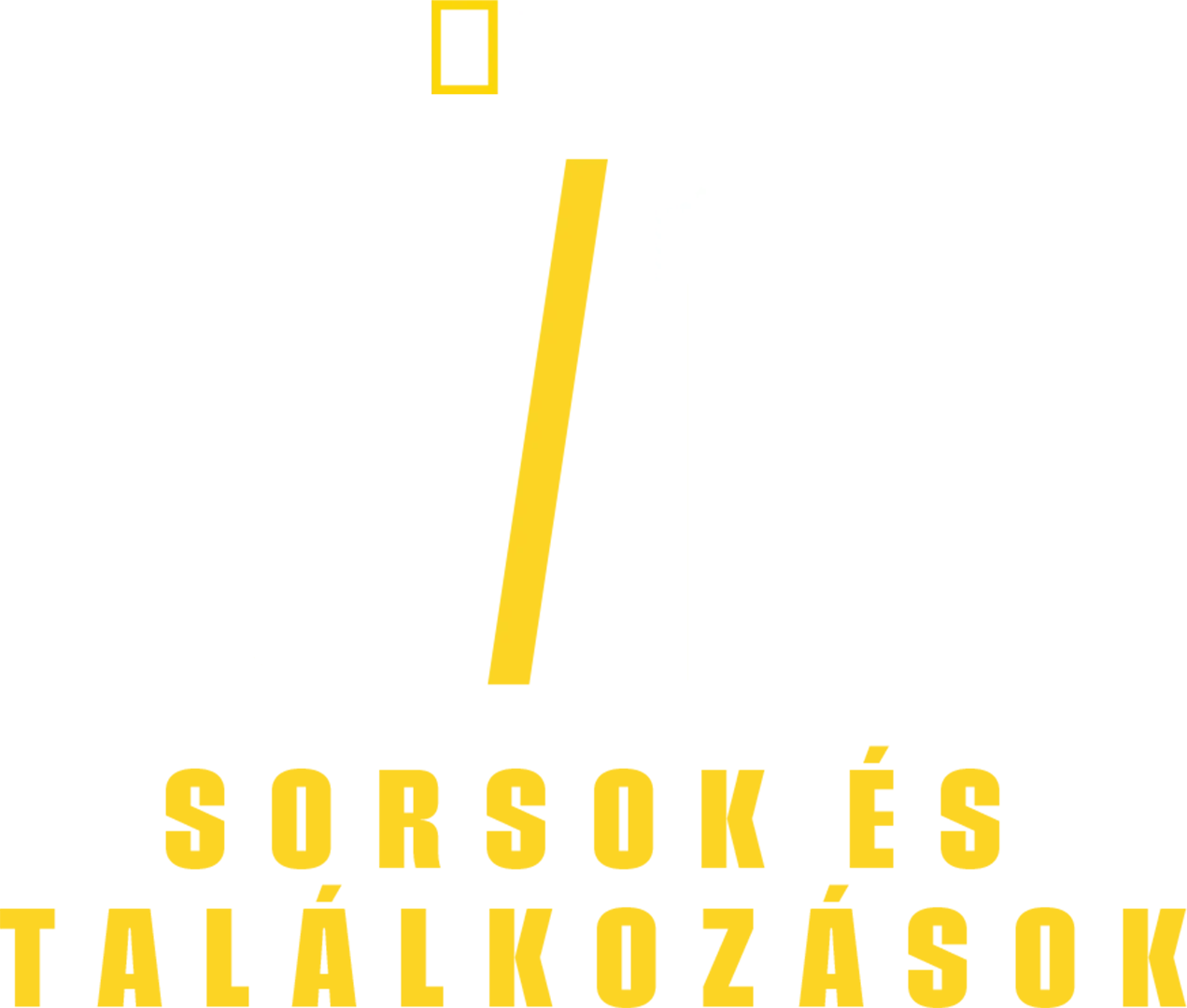 9/11: Sorsok és találkozások