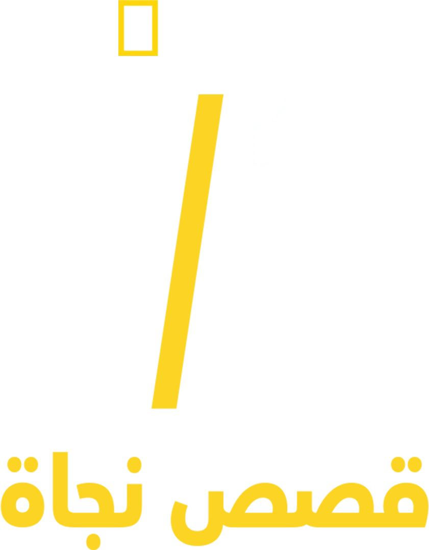 أحداث 11 سبتمبر: لمّ الشمل
