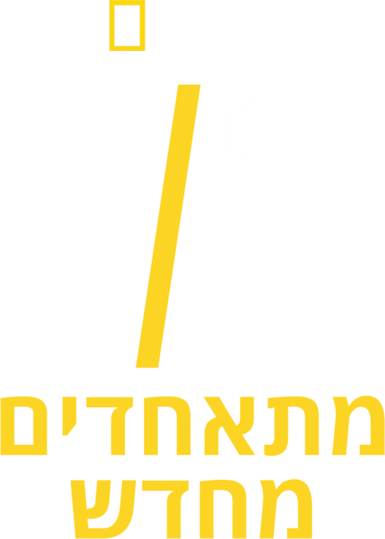 11/9 מתאחדים מחדש