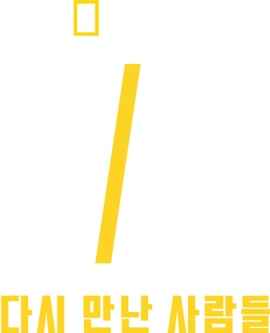9/11 다시 만난 사람들