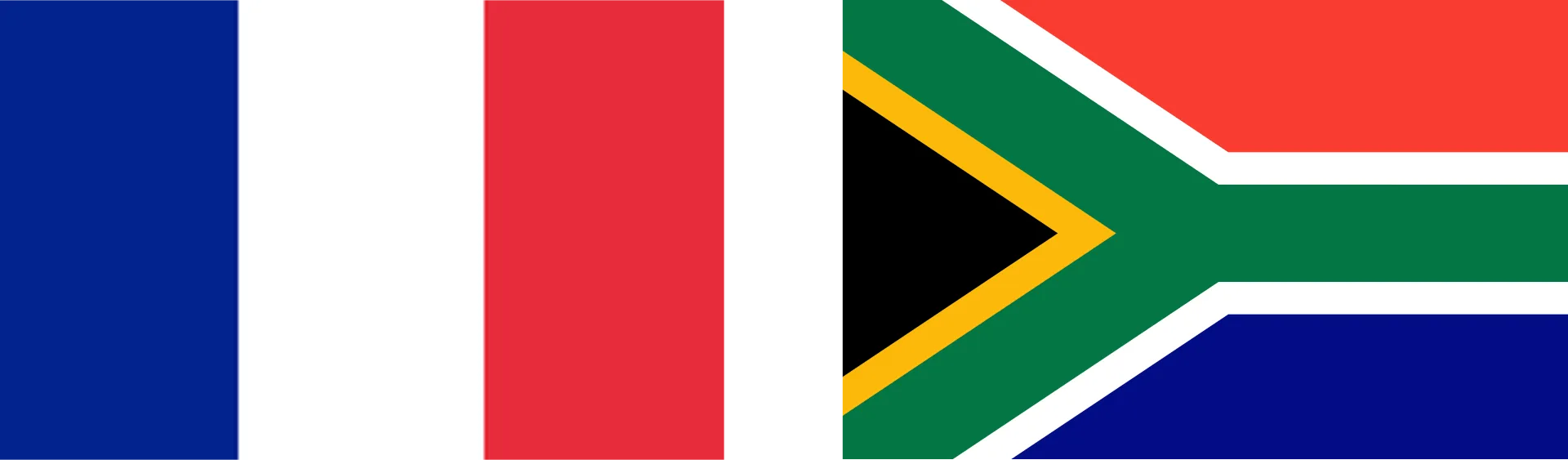 Francia vs. Sudáfrica