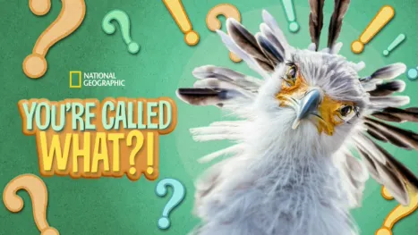 thumbnail - You're Called What?!