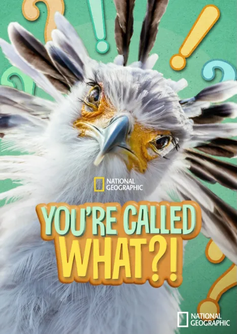 thumbnail - You're Called What?!