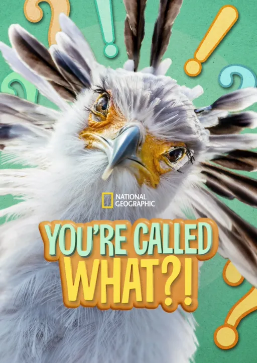 thumbnail - You're Called What?!