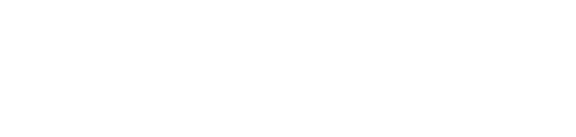 Il pleuvait des oiseaux
