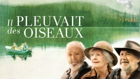 thumbnail - Il pleuvait des oiseaux