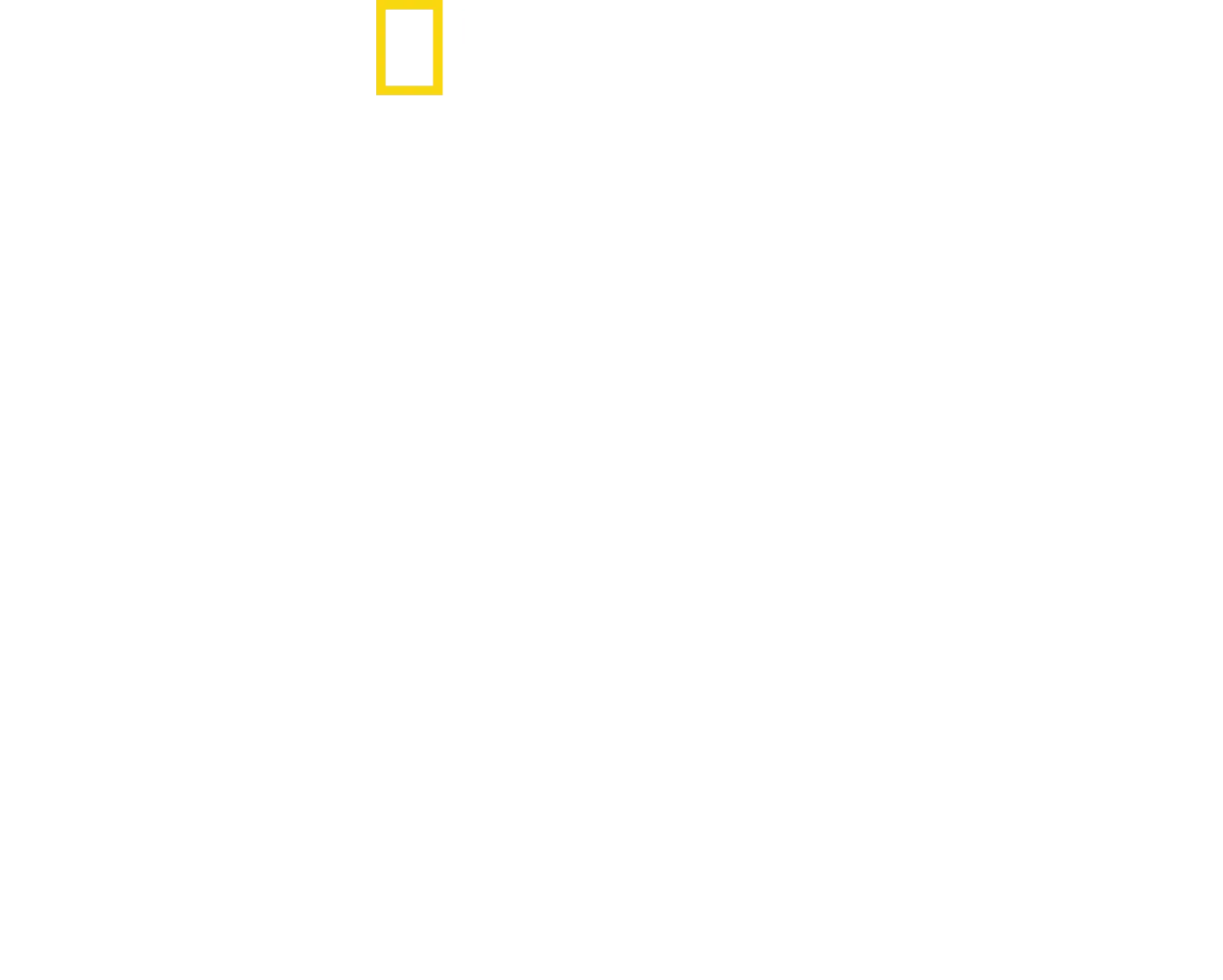 Red Sea: Evolution's Magic Garden