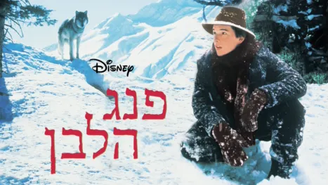 thumbnail - פנג הלבן