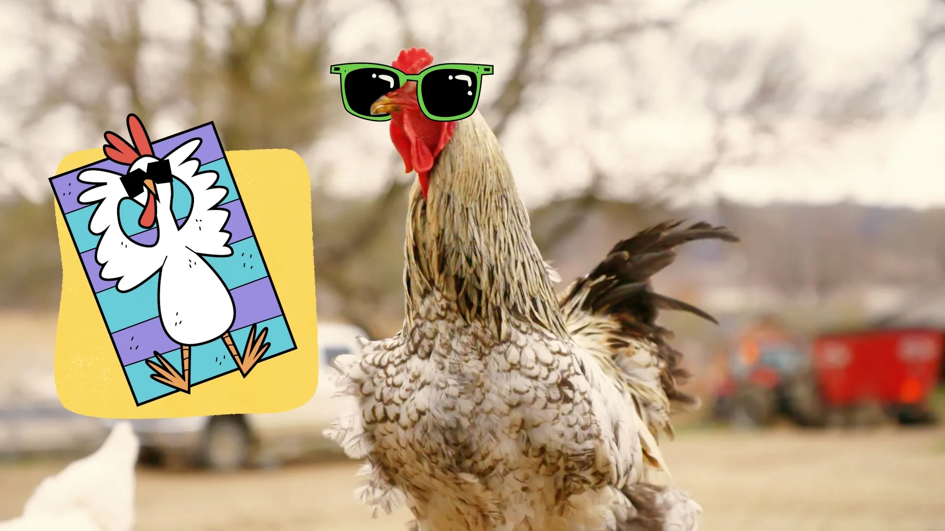 thumbnail - S1:E7 Cows, Ducks, Chickens, Pigs…Whoa!