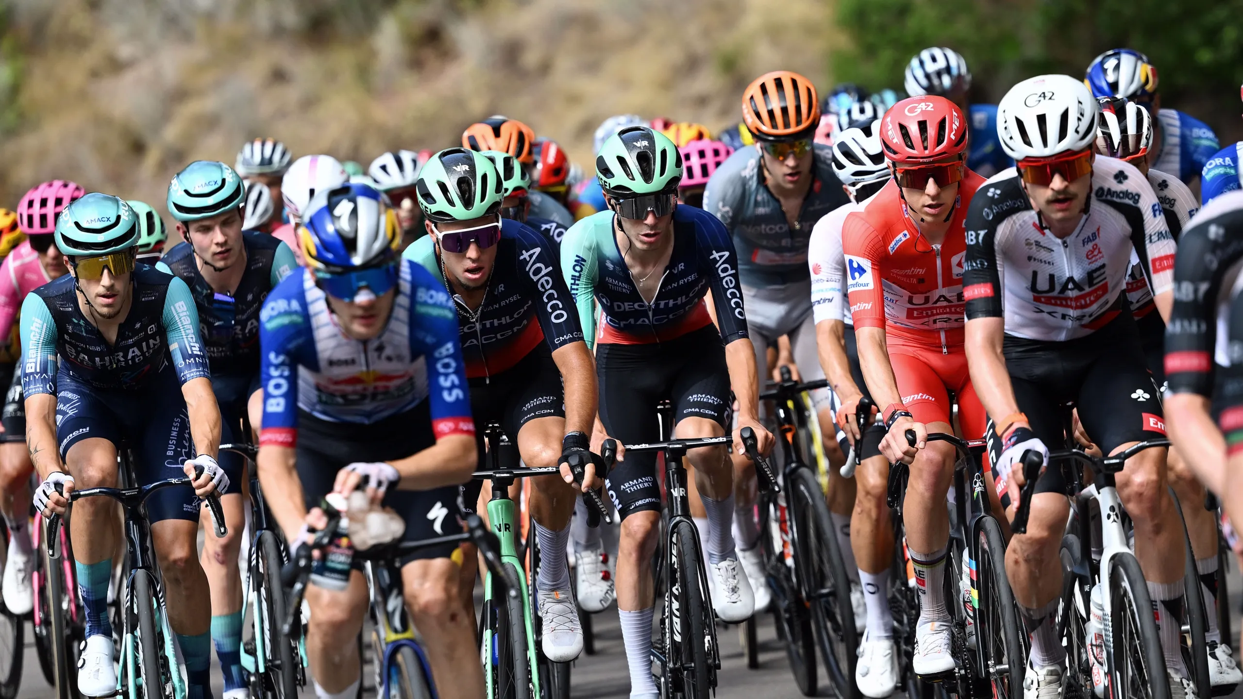 La Vuelta 26 (Stage #8)