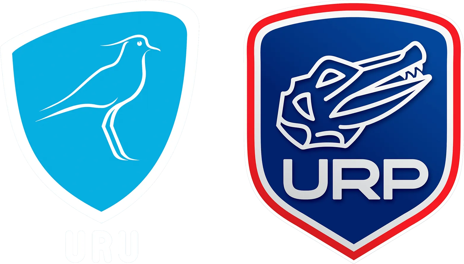 Uruguay XV vs. Paraguay XV