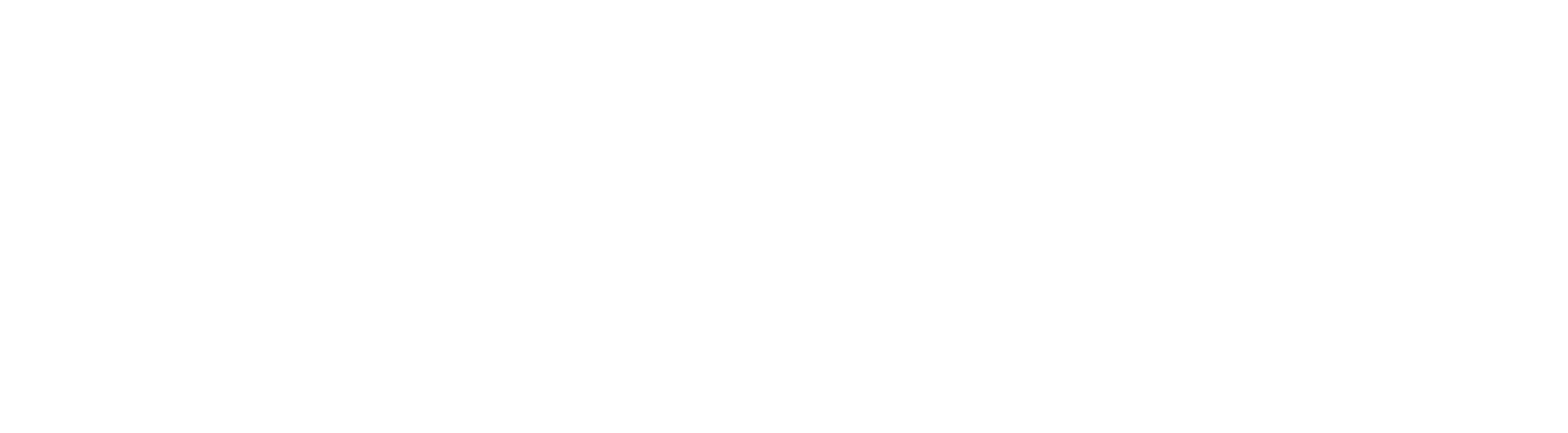 Wolf Children