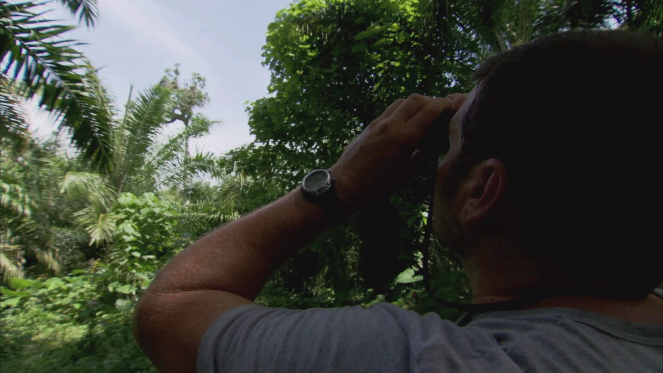 thumbnail - S3:E15 Flying Monsters