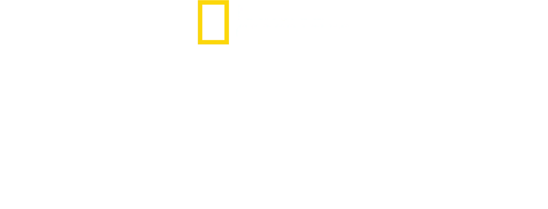 África: O Lar da Vida Selvagem