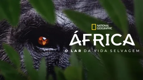 thumbnail - África: O Lar da Vida Selvagem