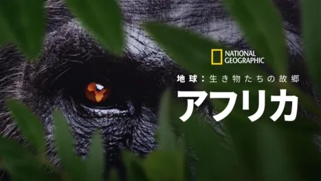 thumbnail - 地球：生き物たちの故郷～アフリカ