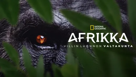 thumbnail - Afrikka: Villin luonnon valtakunta