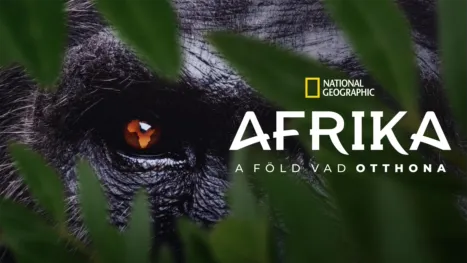 thumbnail - Afrika: A Föld vad otthona