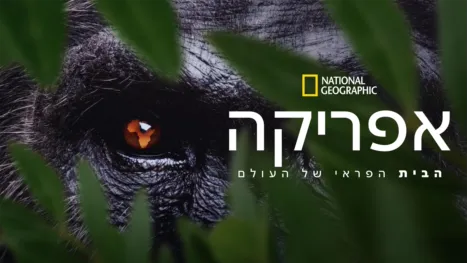 thumbnail - אפריקה, הבית הפראי של העולם