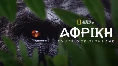 thumbnail - Σπίτι