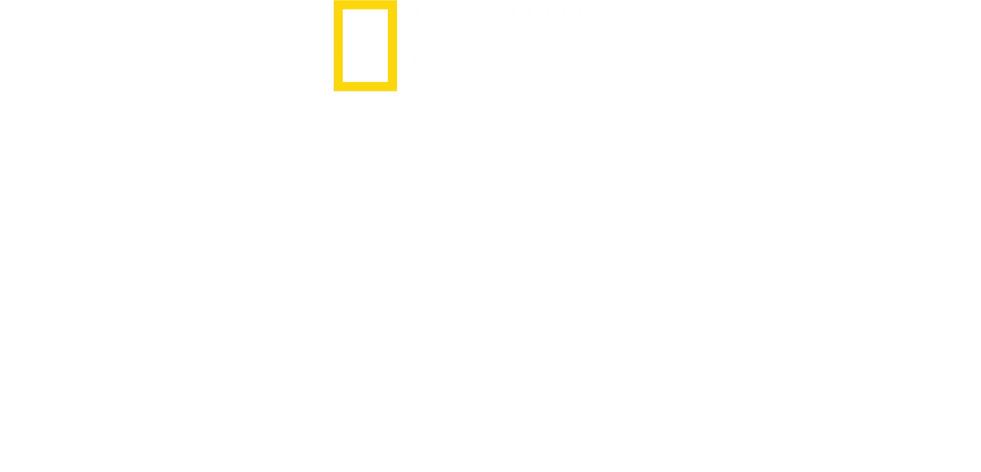 아프리카: 야생의 심장