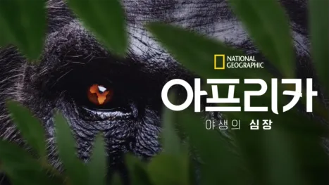 thumbnail - 아프리카: 야생의 심장
