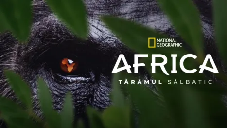 thumbnail - Acasă