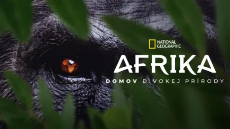 thumbnail - Afrika: Domov divokej prírody