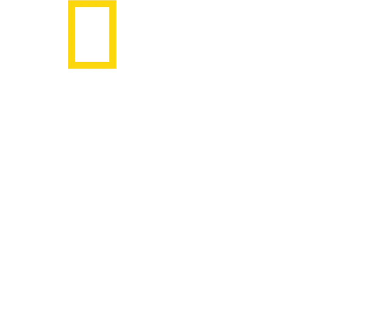 非洲：地球的野性家園