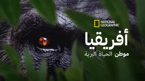 thumbnail - موطن