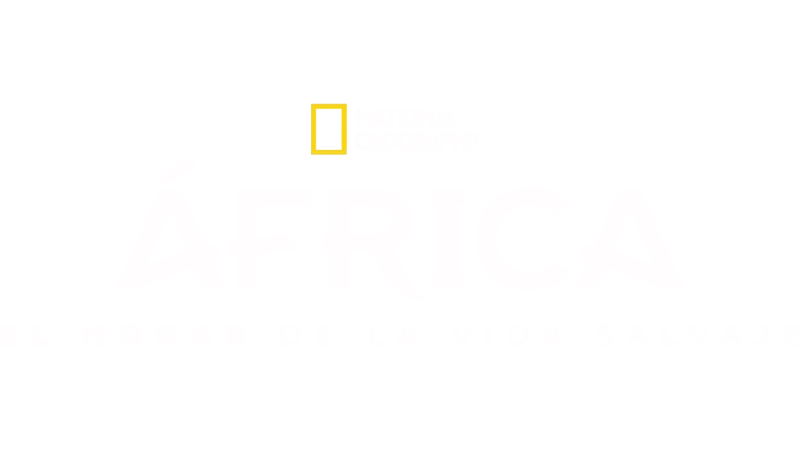 África: el hogar de la vida salvaje