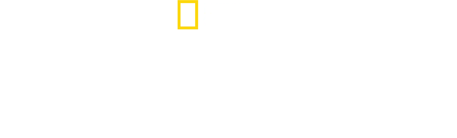 África: el hogar de la vida salvaje