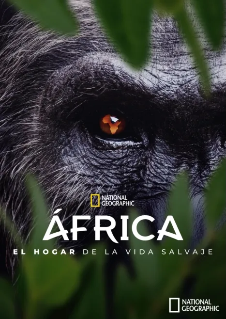 thumbnail - África: el hogar de la vida salvaje