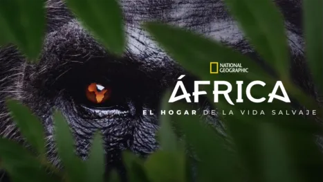 thumbnail - África: el hogar de la vida salvaje
