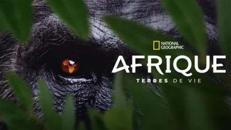 thumbnail - Afrique, terres de vie