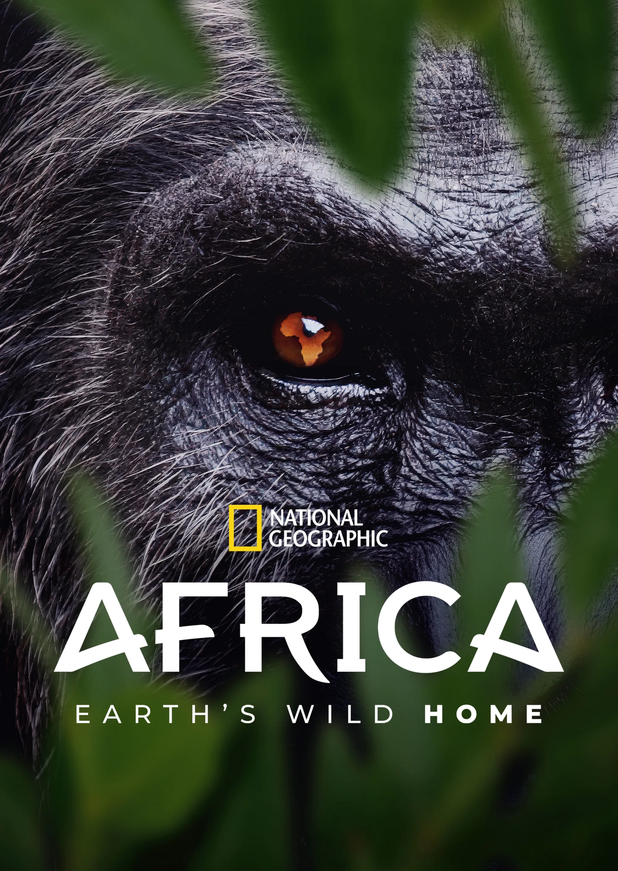 Africa Earth's Wild Home