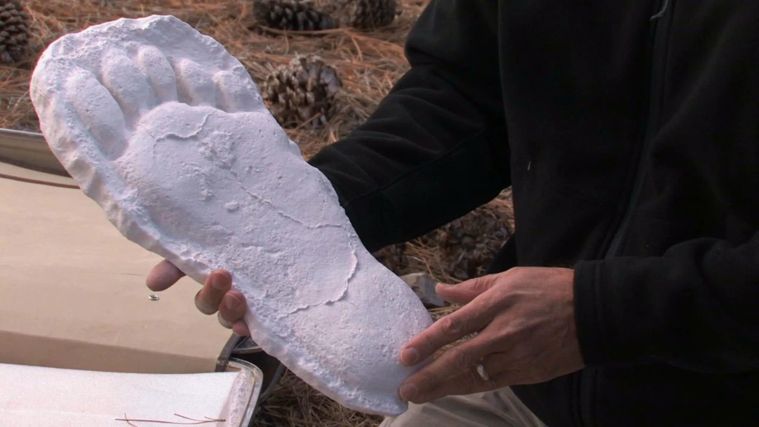 thumbnail - S4:E8 Sierra Sasquatch