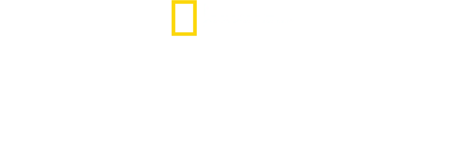 Super Scam Me: Betrugsindustrie hautnah