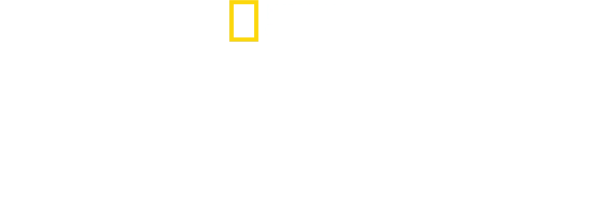 ロマンス詐欺：騙し屋たちの世界