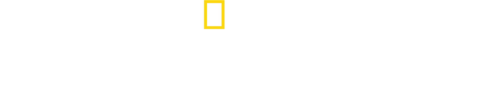 V zajetí podvodníků