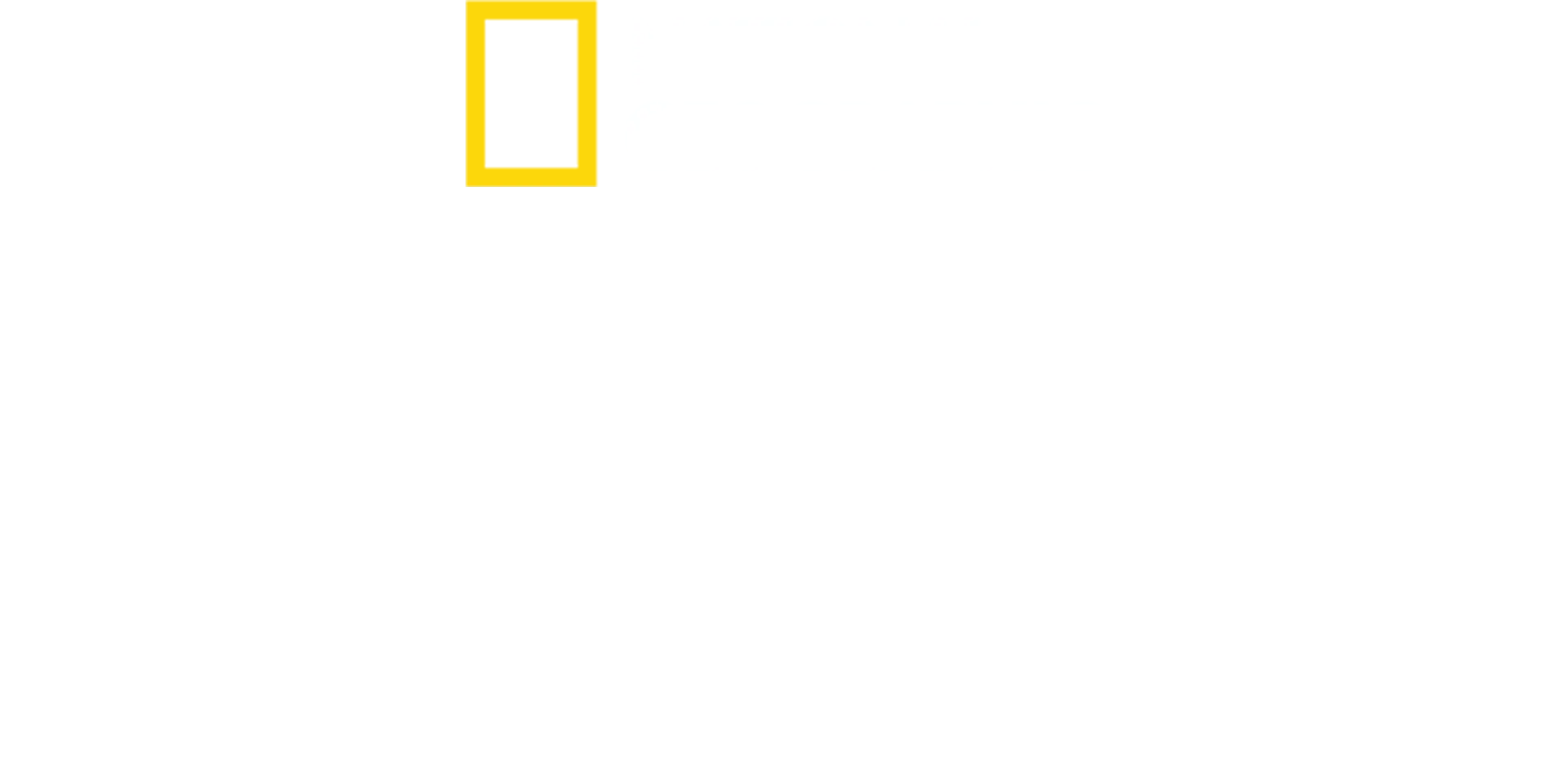 נוכלי על