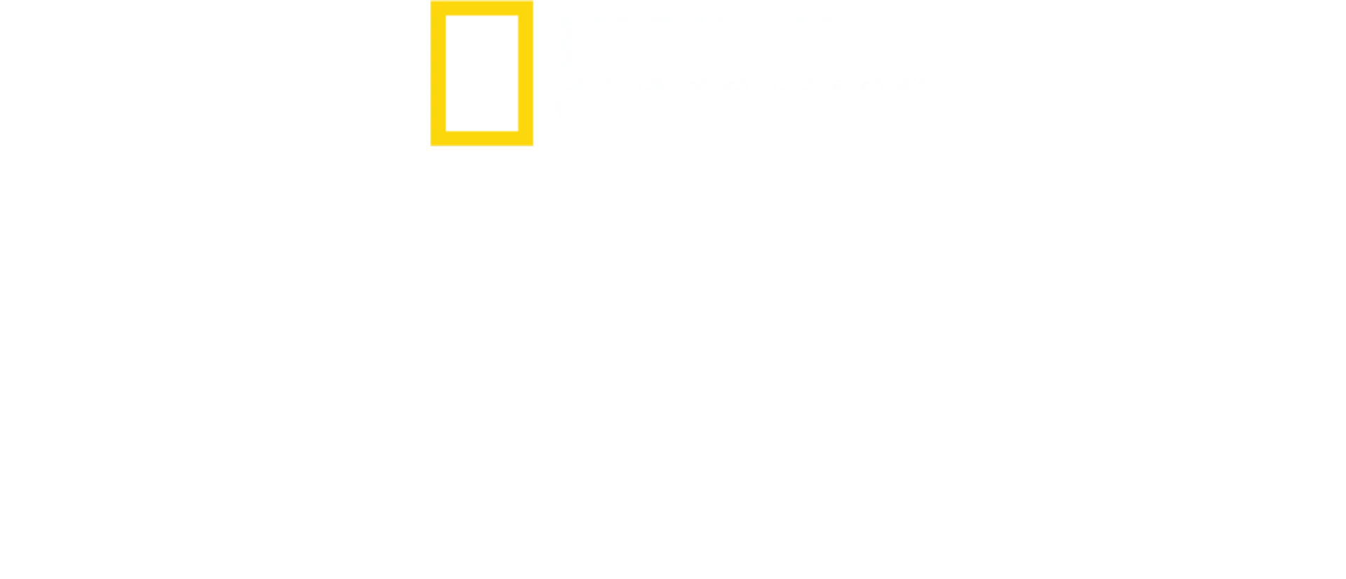 Me Engane: Golpes Amorosos