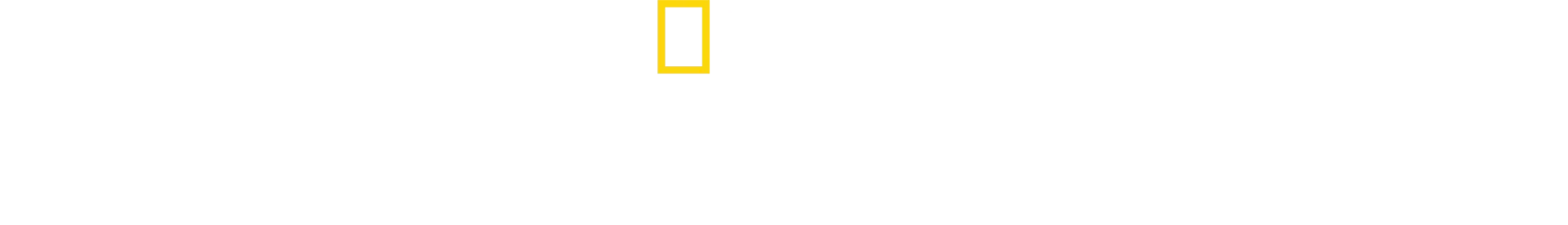 Miłość w sieci oszustów