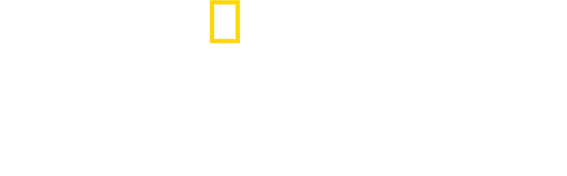 عملية احتيال مُحكمة